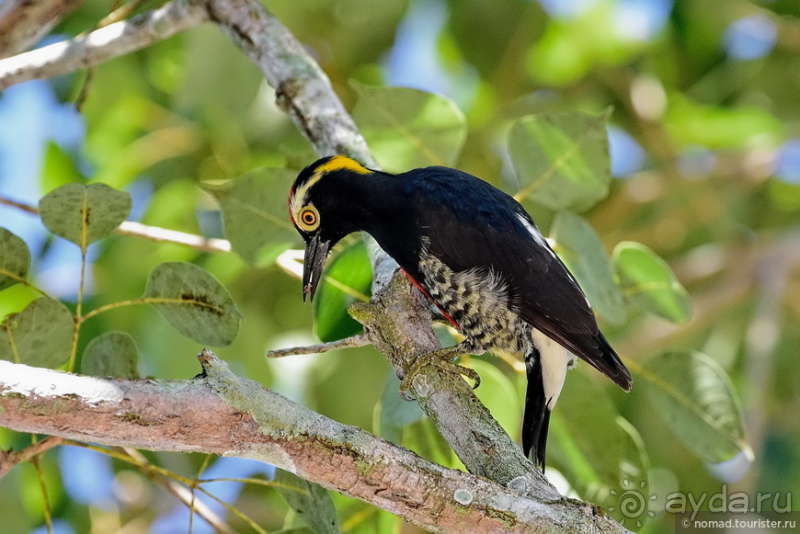 Bolivia te espera! Часть 6