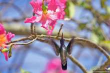 Bolivia te espera! Часть 6