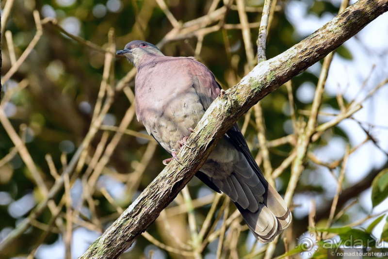 Bolivia te espera! Часть 6