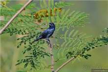 Альбом истории "Bolivia te espera! Часть 6"