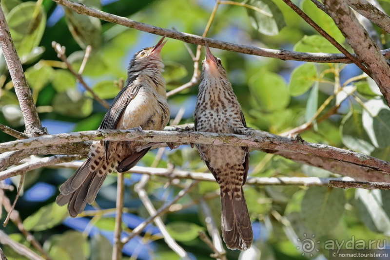 Bolivia te espera! Часть 6