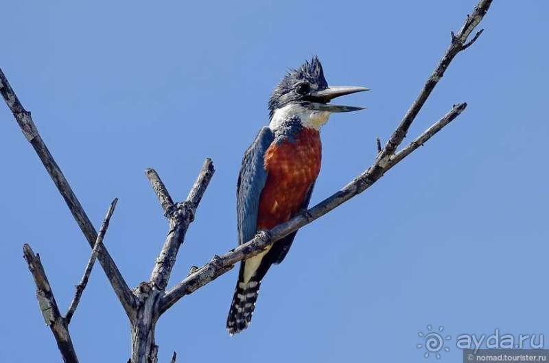 Bolivia te espera! Часть 6