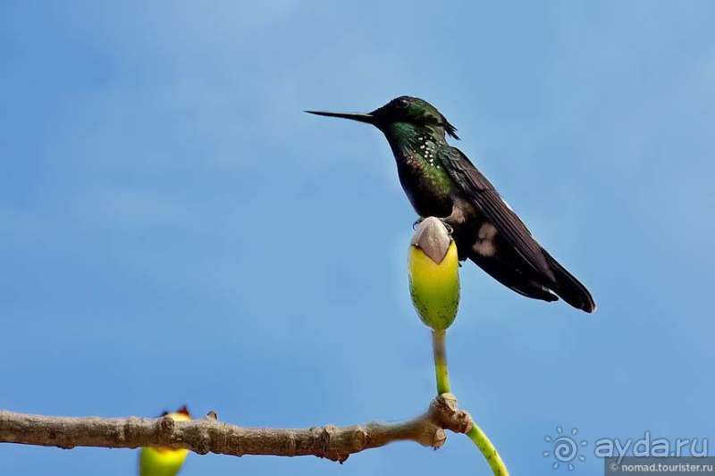 Bolivia te espera! Часть 6