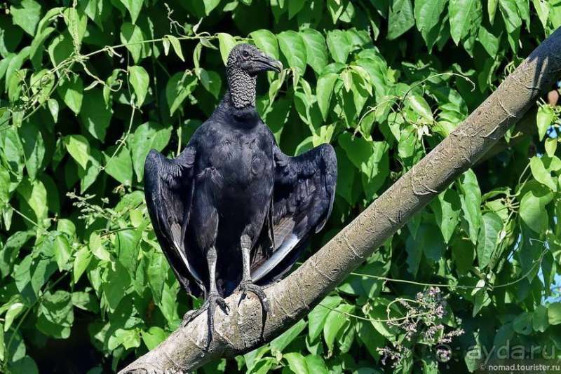 Bolivia te espera! Часть 6