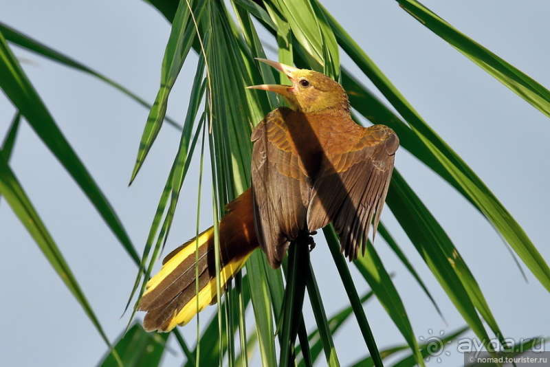 Bolivia te espera! Часть 6