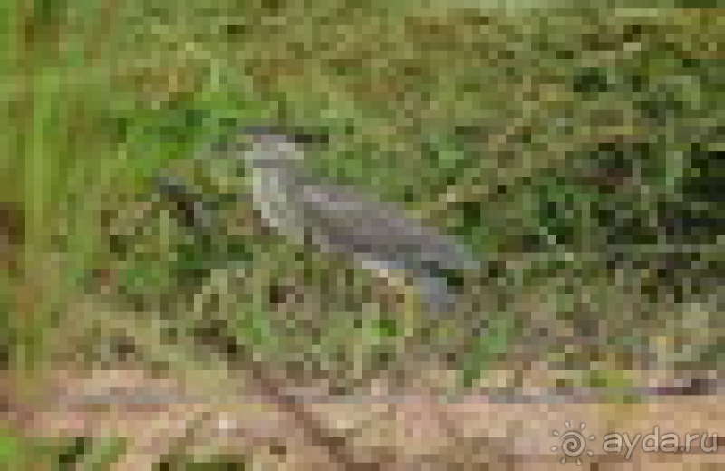 Bolivia te espera! Часть 6