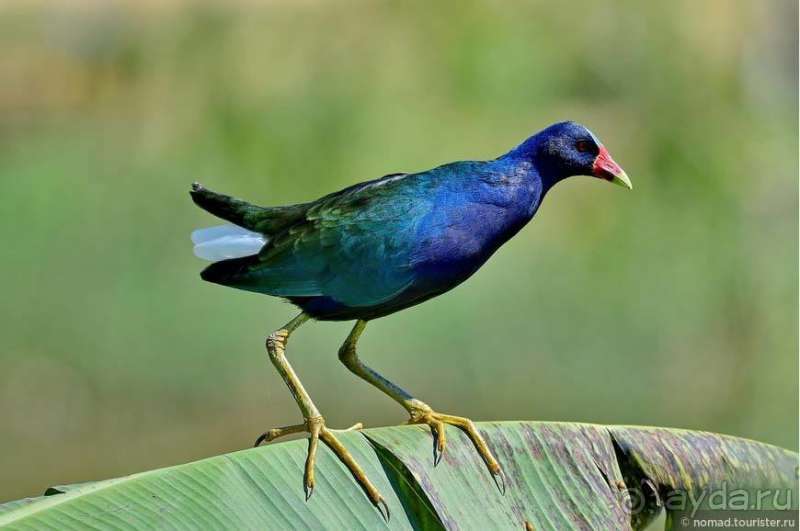 Bolivia te espera! Часть 6