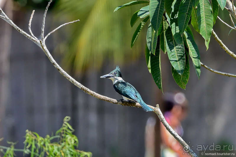 Bolivia te espera! Часть 6