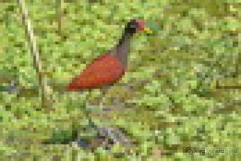 Bolivia te espera! Часть 6