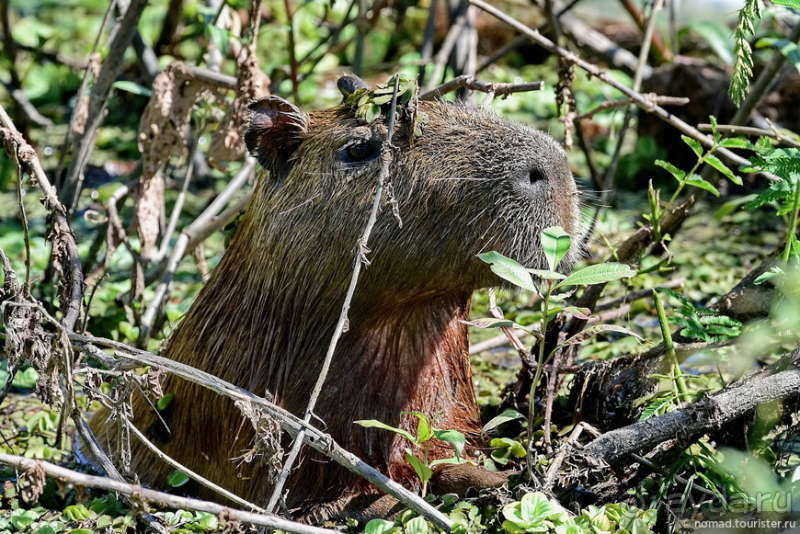 Bolivia te espera! Часть 6