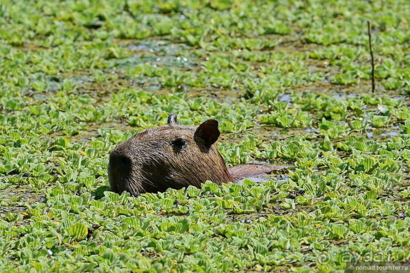 Bolivia te espera! Часть 6
