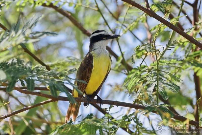 Bolivia te espera! Часть 6