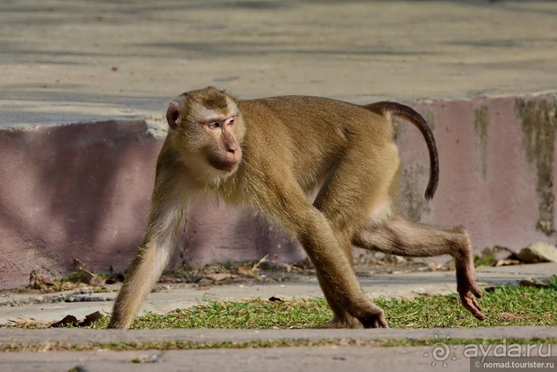 ТАИЛАНДиЯ. Часть 2