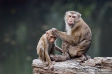 ТАИЛАНДиЯ. Часть 2