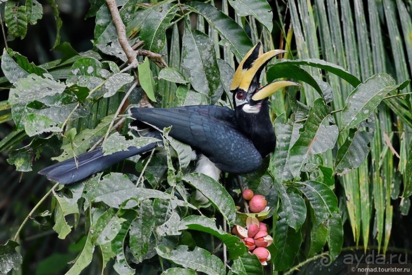 ТАИЛАНДиЯ. Часть 2