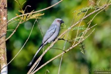 ТАИЛАНДиЯ. Часть 2