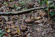 ТАИЛАНДиЯ. Часть 2