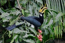 ТАИЛАНДиЯ. Часть 2