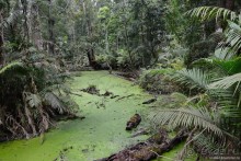 ТАИЛАНДиЯ. Часть 2