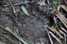 ТАИЛАНДиЯ. Часть 2