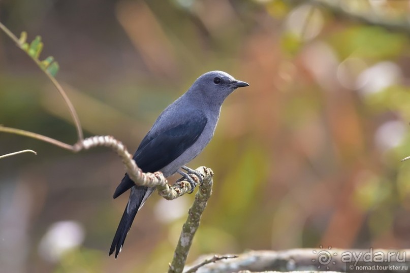 ТАИЛАНДиЯ. Часть 2