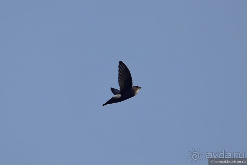 ТАИЛАНДиЯ. Часть 2