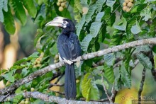 ТАИЛАНДиЯ. Часть 2