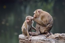 ТАИЛАНДиЯ. Часть 2