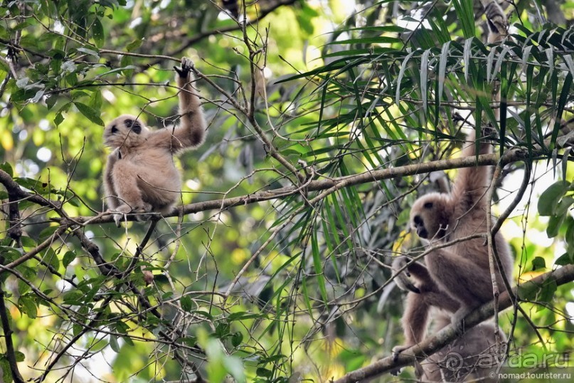 ТАИЛАНДиЯ. Часть 2