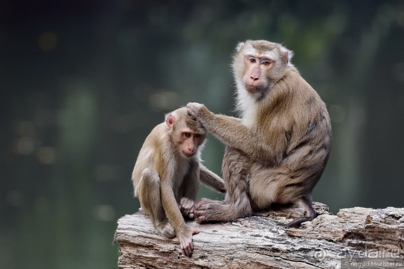 ТАИЛАНДиЯ. Часть 2