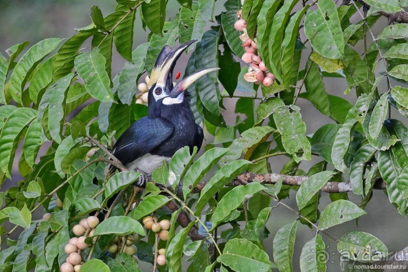 ТАИЛАНДиЯ. Часть 2