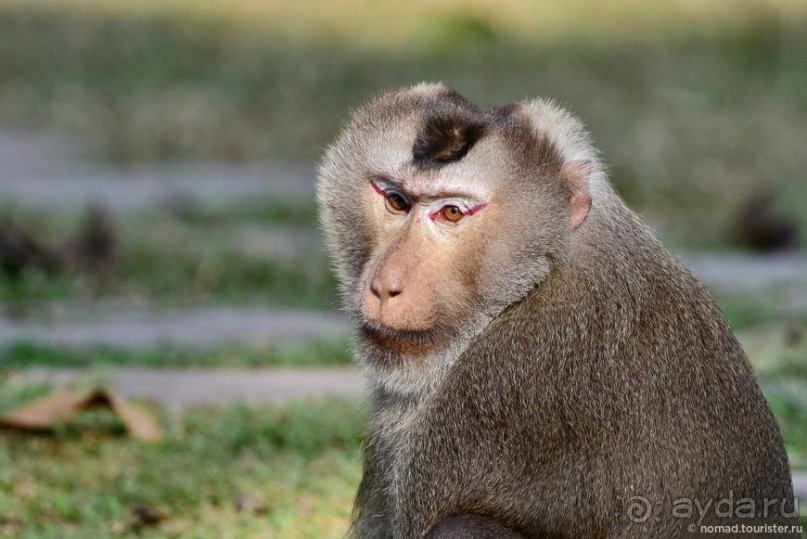 ТАИЛАНДиЯ. Часть 2