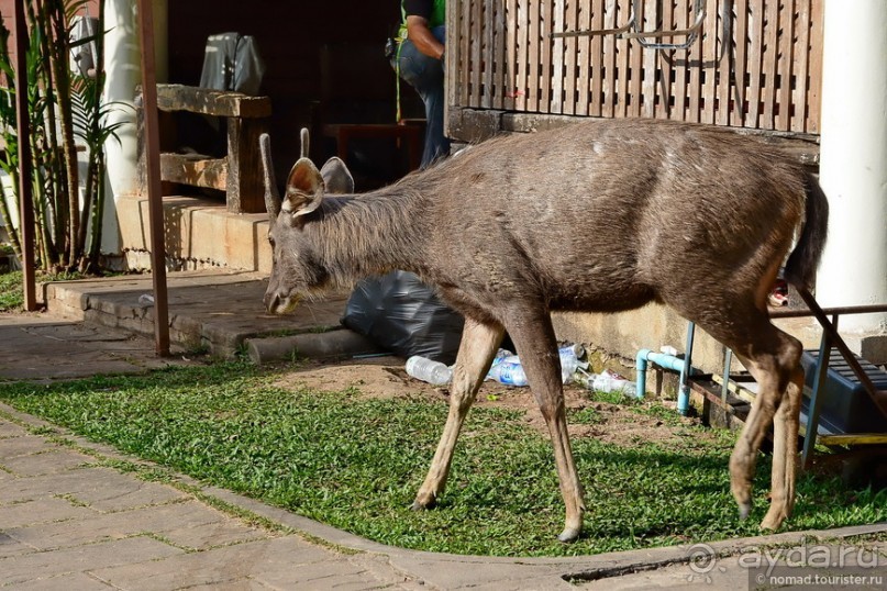 ТАИЛАНДиЯ. Часть 2