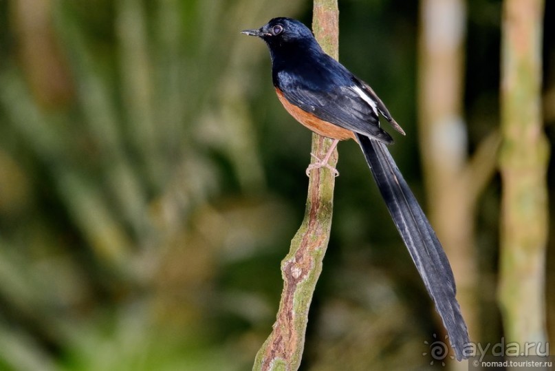 ТАИЛАНДиЯ. Часть 2