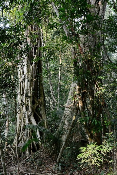 ТАИЛАНДиЯ. Часть 2