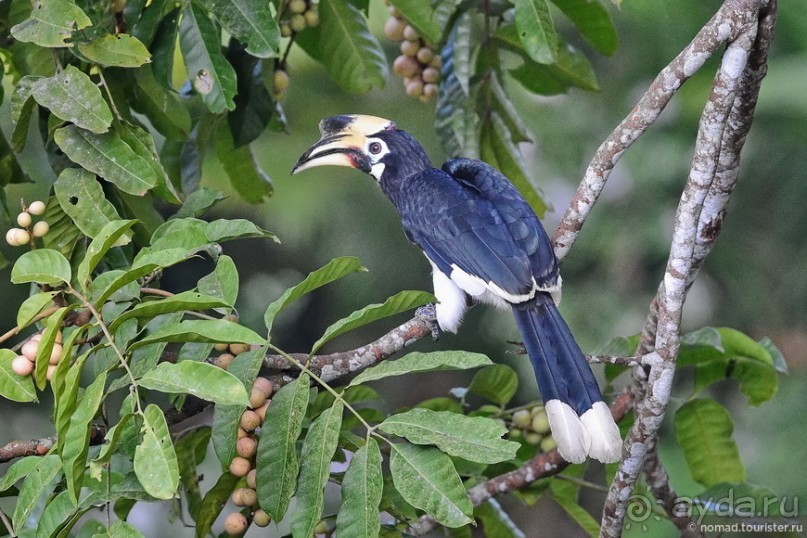 ТАИЛАНДиЯ. Часть 2