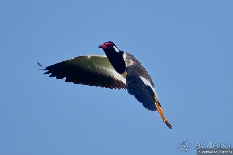 ТАИЛАНДиЯ. Часть 2