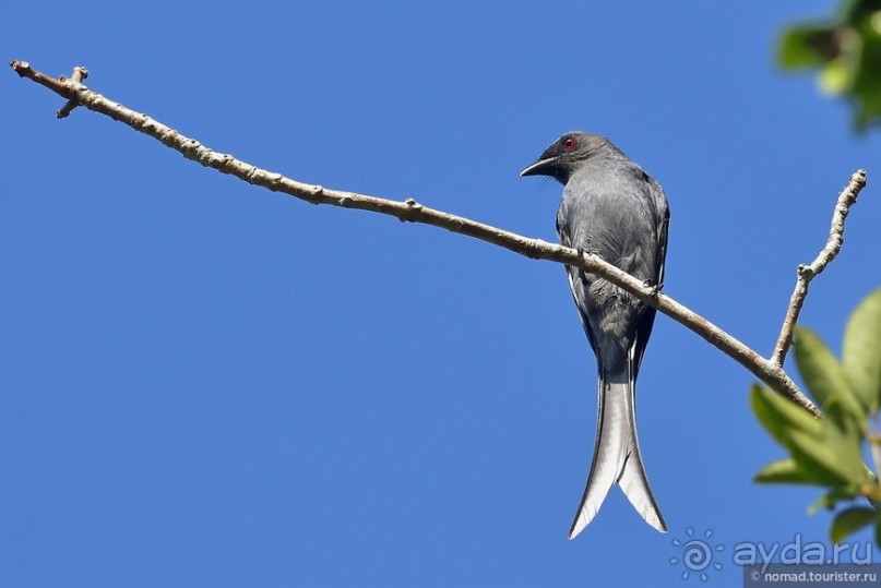 ТАИЛАНДиЯ. Часть 2