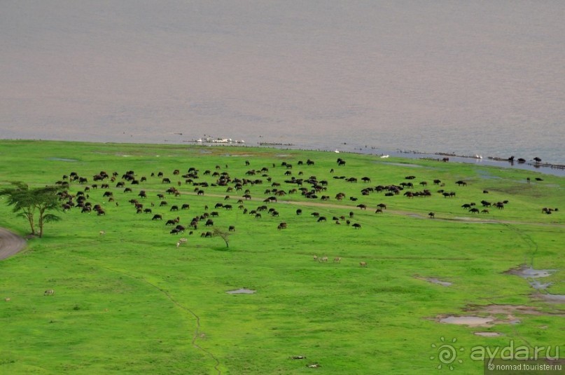 Акуна матата — дубль два. Кения в сезон дождей. Часть 3