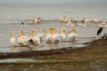Акуна матата — дубль два. Кения в сезон дождей. Часть 3