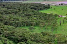 Акуна матата — дубль два. Кения в сезон дождей. Часть 3