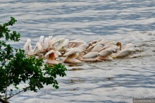 Акуна матата — дубль два. Кения в сезон дождей. Часть 3