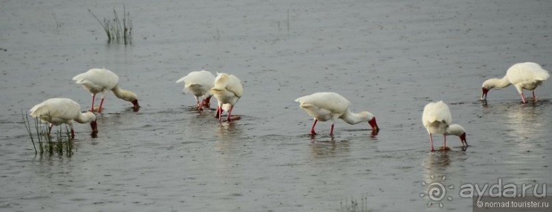 Акуна матата — дубль два. Кения в сезон дождей. Часть 3