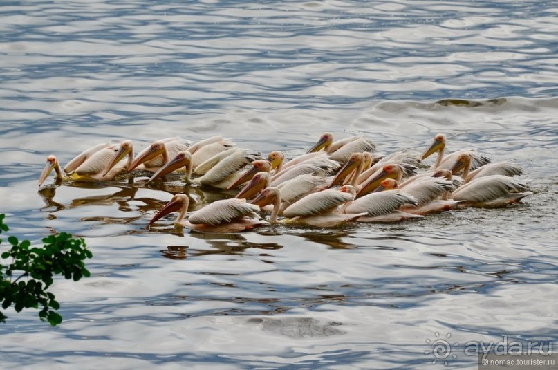 Акуна матата — дубль два. Кения в сезон дождей. Часть 3