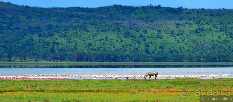 Акуна матата — дубль два. Кения в сезон дождей. Часть 3