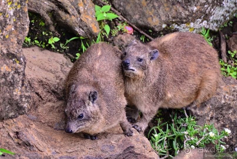 Акуна матата — дубль два. Кения в сезон дождей. Часть 3