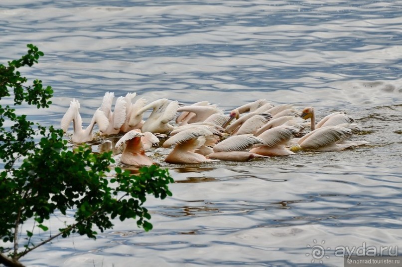 Акуна матата — дубль два. Кения в сезон дождей. Часть 3