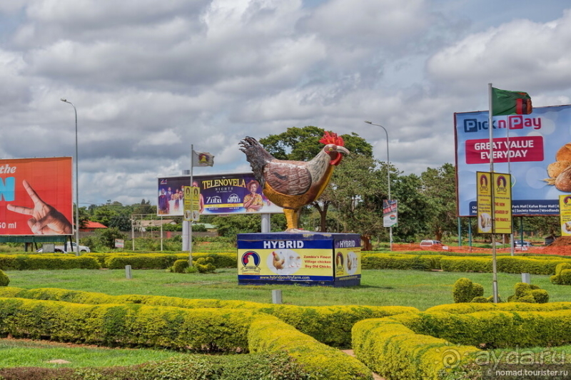 Альбом истории "Африканское ралли. Часть 8. Замбия."