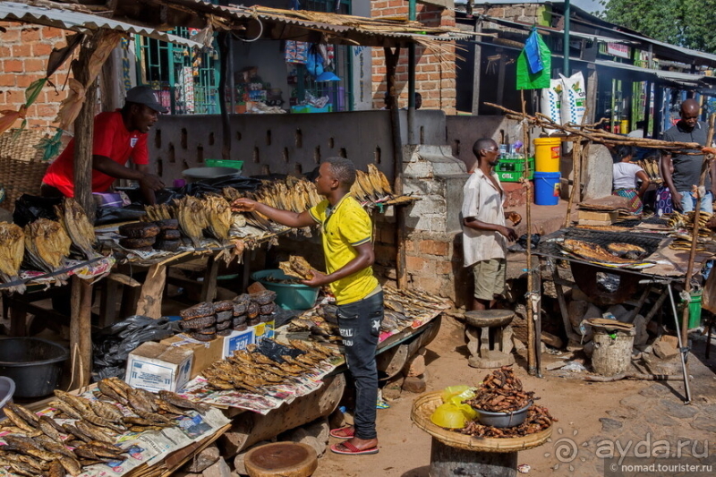 Альбом истории "Африканское ралли. Часть 8. Замбия."