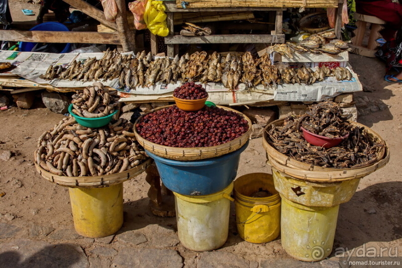 Альбом истории "Африканское ралли. Часть 8. Замбия."